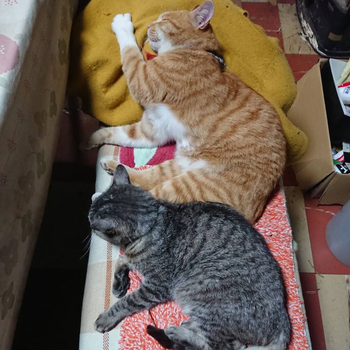 6ff15d09 36bc 4585 bca1 e78420a43261 1605125890009