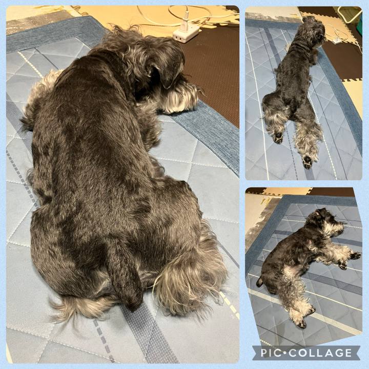 6ff193d4 2e33 443a 83ed 8cca7ecd2ae2 1747811157669