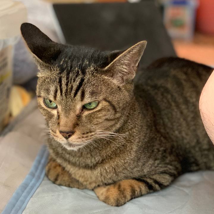 6ff19489 b433 42c6 b37f 7444910664b5 1567471419535