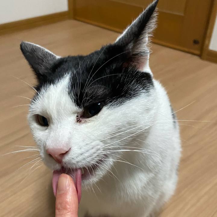 6ff1bd39 ac04 4092 a18c 171c46ef333e 1581420478930