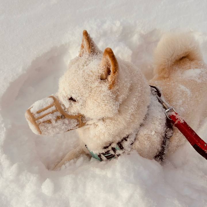 6ff1ccb3 197c 4686 8401 817055f5edea 1742251416941