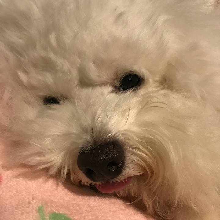 6ff1dad3 6416 478f be37 d96329c3ea46 1537362665385