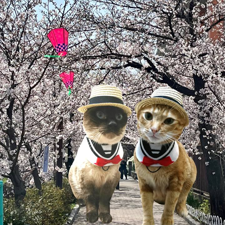 6ff1e8ed cf8a 45fc a73b cc23e1a2d0b3 1648678307161