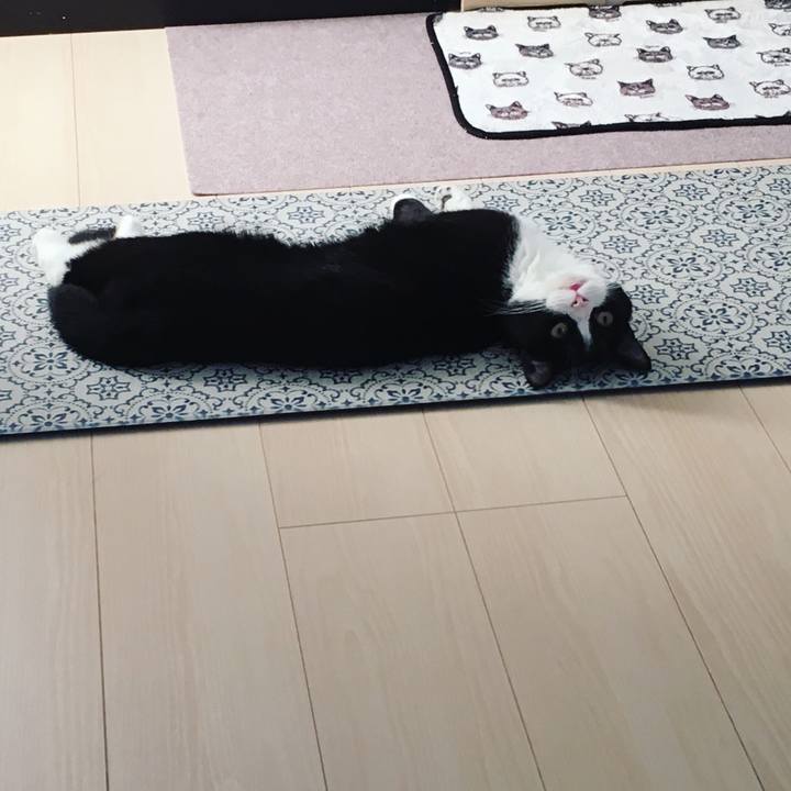 6ff1ea21 4440 4d1b a37b f929c43741d4 1562748416666