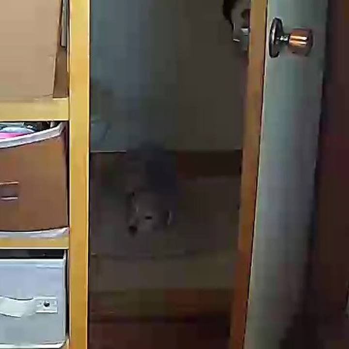 6ff1f712 eeeb 4ab0 abe0 b5e83afcf610 1639962711508