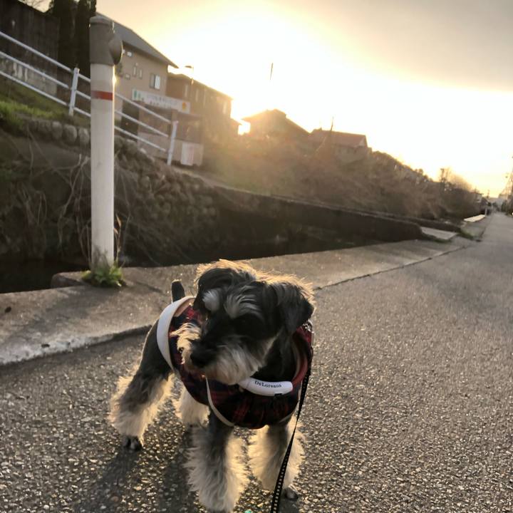 6ff2055c 811d 4bfc bf74 635fa5dc1751 1648552112633