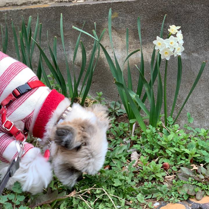 6ff24d19 27d4 49a5 8621 7961a79ac2e9 1615620339384