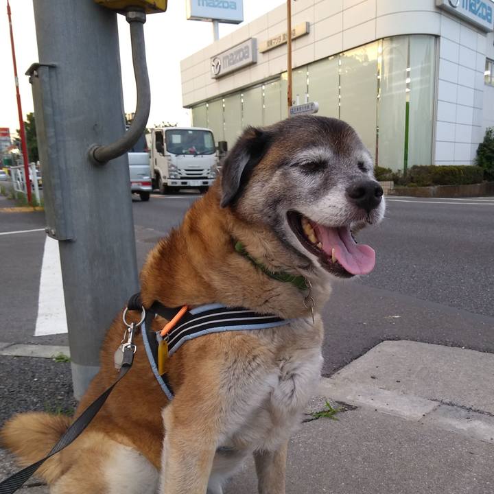 6ff24de4 7bbf 4190 964e 01aee8da9c5b 1563359803177