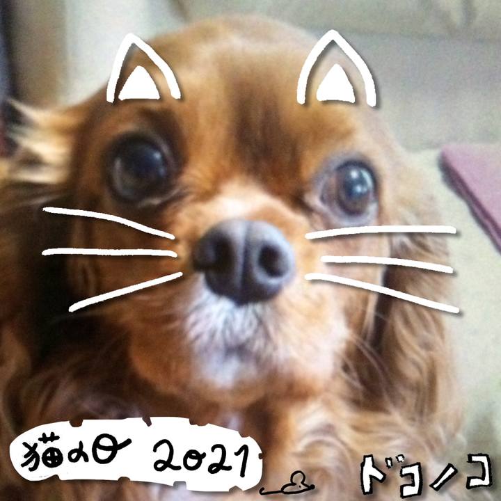 6ff266d7 265a 4be6 bbd7 f24479c8ac16 1613993165552