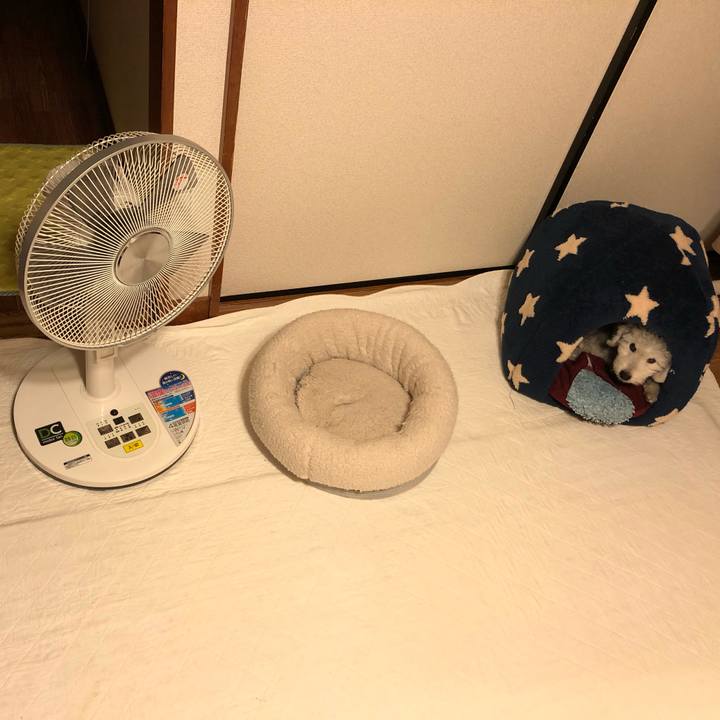 6ff2a2c9 a71c 428e 84a3 c0097bba50a5 1601304622308