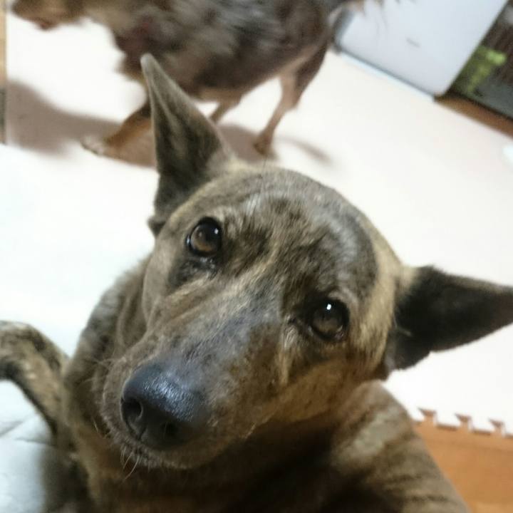 6ff2c9e4 cac6 497c 92ff 07487d9492f8 1517397735889