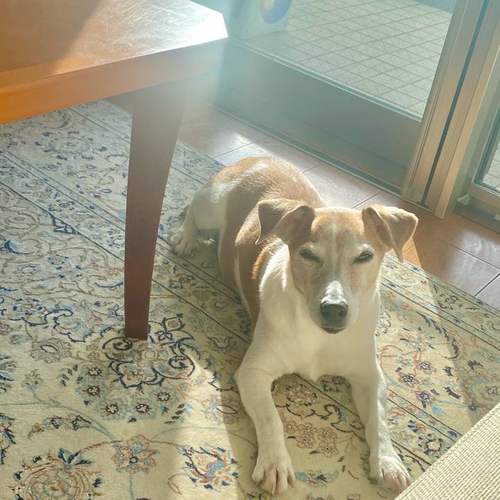 6ff2cd48 83ad 4022 b7c2 2aa6accce24b 1638594389586