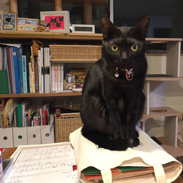 6ff2e9fa 2078 45db acce bc81bedf4a14 1538653328444