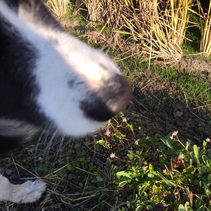 6ff2f69b c7d9 4d17 a649 b8e2bb5069e0 1541478432732