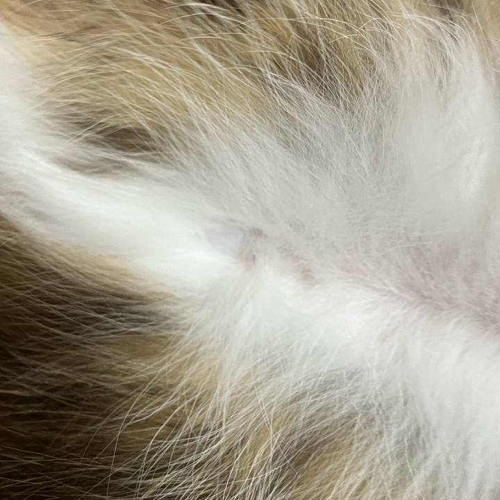 6ff31641 4285 4d76 9f28 34231e0de29e 1773792227611