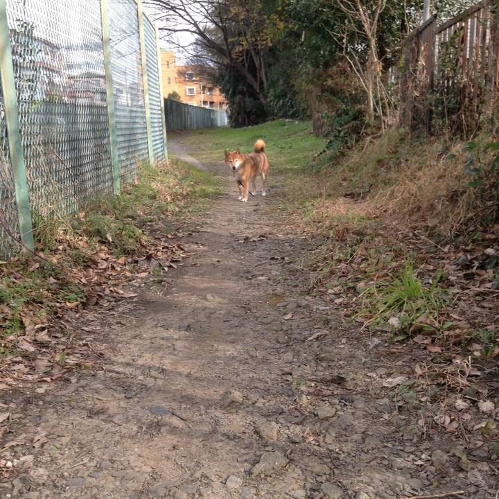 6ff31c4c 4841 40f3 9337 e9686b2d9448 1545881965648