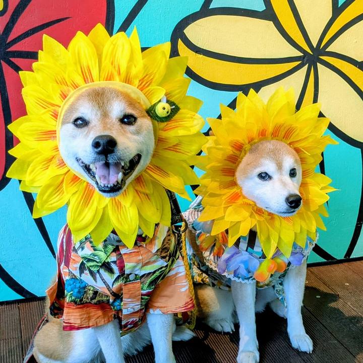 6ff368d0 3e8e 45e3 bb40 97d2ee45911a 1755912029874