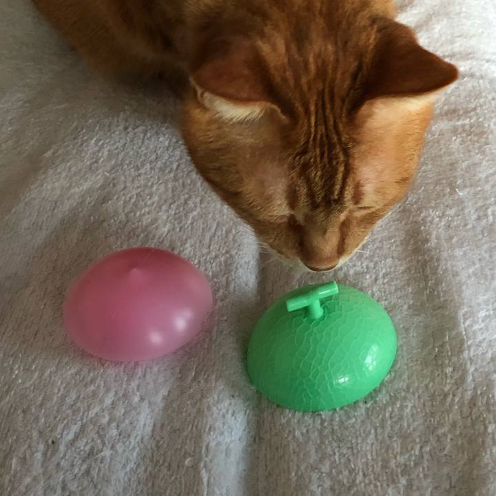 6ff375ab 35fd 4421 9fd6 9ded52cea1ad 1615496443830