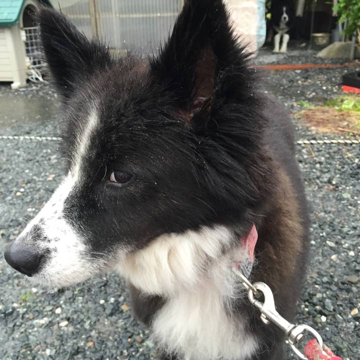 6ff3822b 33a4 44d4 a754 af9427f072b5 1536393664102