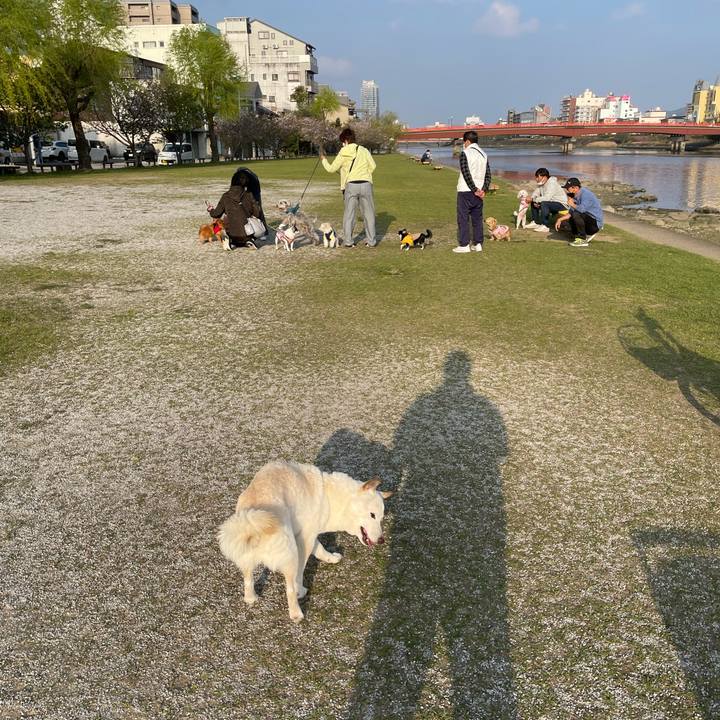 6ff3882b 8321 448c a9f8 7705f8354f71 1649422519431