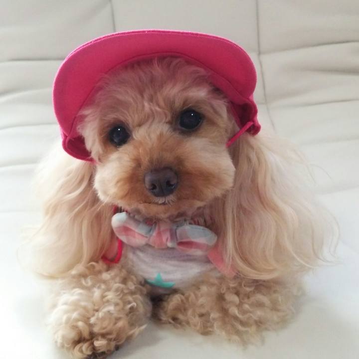 6ff38d31 2e11 4316 8d62 87721879af3e 1523358890500