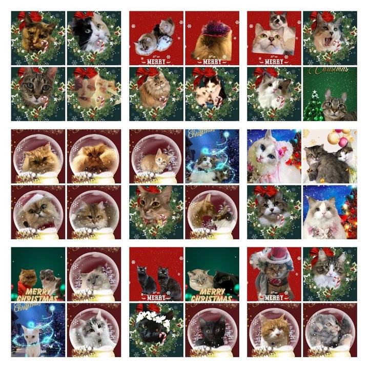 6ff3b5bd e5f6 48a5 8e38 af0eb57553e7 1640317603245