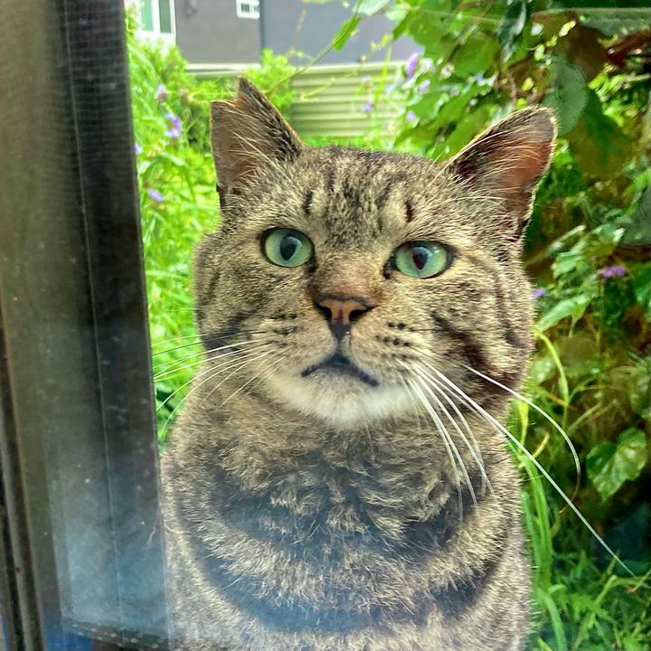 6ff3c1d3 9d92 441c 8927 9111e5e69e6f 1660996239561