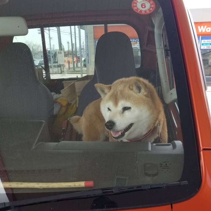 6ff3de93 d720 4265 a12a dae17ed0e772 1711767347484