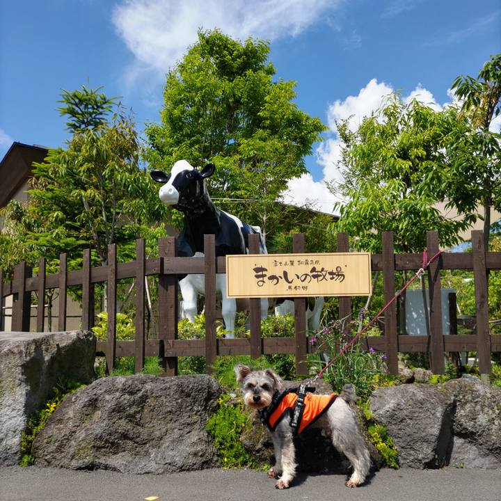 6ff3f3cc db0c 47a5 8259 6b887c6cf212 1686622348129