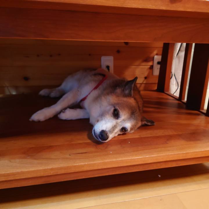 6ff3fedc e290 4945 9fc3 c6ee75931c65 1754571203973