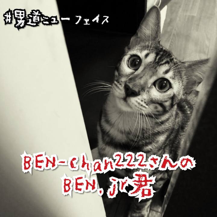 6ff402c0 5ebe 40c5 b630 189e372ca203 1567172641638