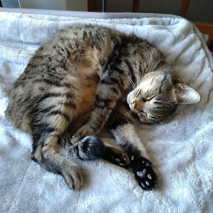 6ff4136e 0efe 4caa adde 16c057556ea9 1735379612484