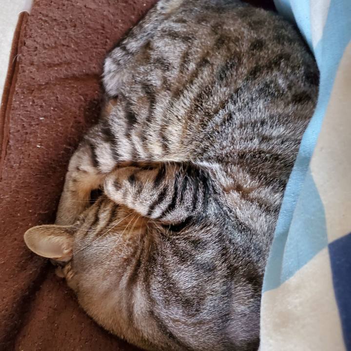 6ff43802 4868 42b8 968e 5e2a24a0d845 1716069177195