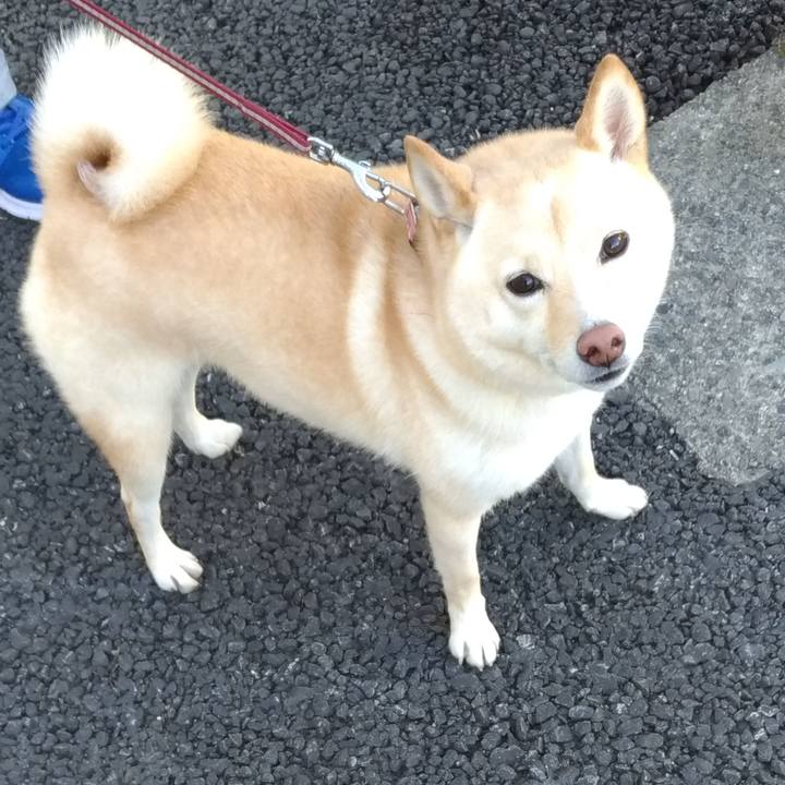 6ff439ac d479 44cf 8839 359566bf6d42 1604103675603