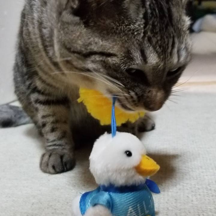 6ff43c55 a474 4807 af39 b55130e7bceb 1690768339094