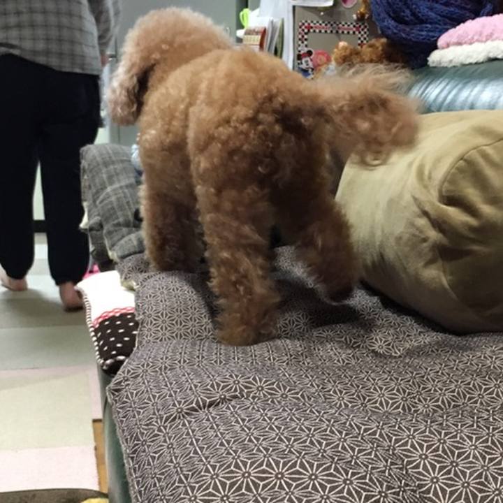 6ff474d8 9a41 439f 8d7c 60c33eb43423 1553785109782