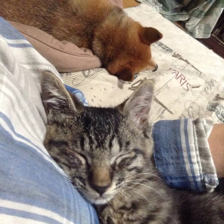 6ff51e6a 6b94 422e 81f3 2b269f4b8bcf 1529468986153