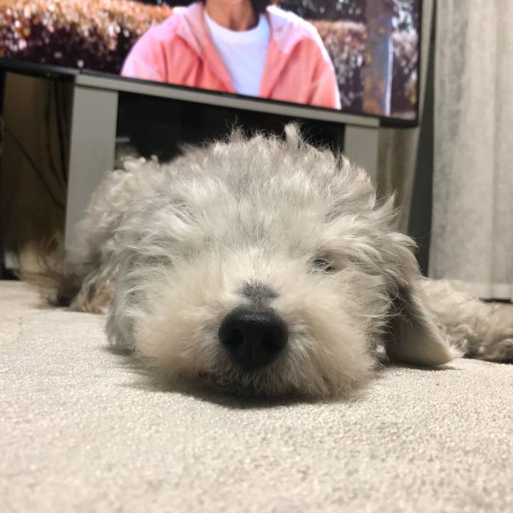 6ff53120 7715 409b 973b 33382af3ea0f 1650931005910