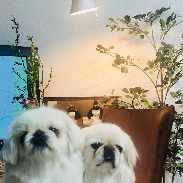 6ff545b2 d6c8 4430 a7a4 1e754f893bcc 1583399092973