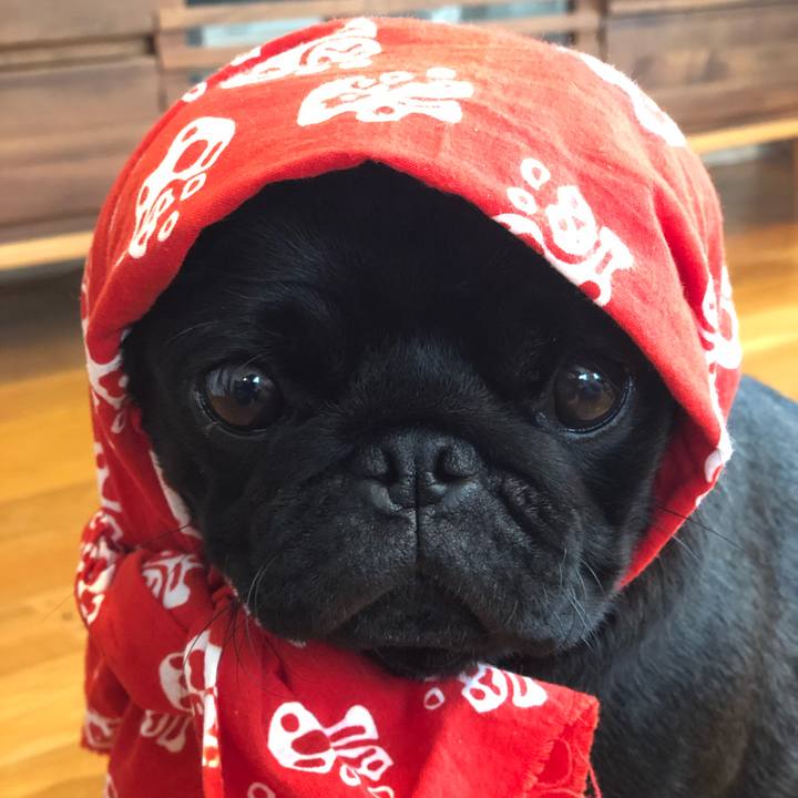 6ff54c92 947d 467d b244 fb002cbabbe3 1628465544968