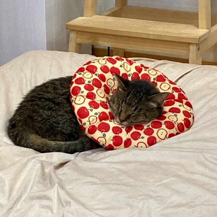 6ff561af 8c1b 42b4 9d44 7b9f03e10531 1682493655200