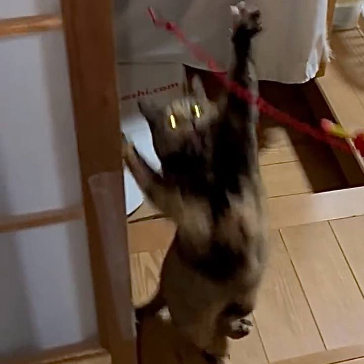 6ff5633e 7da3 4818 b115 2e25ef6d5d91 1762202766812