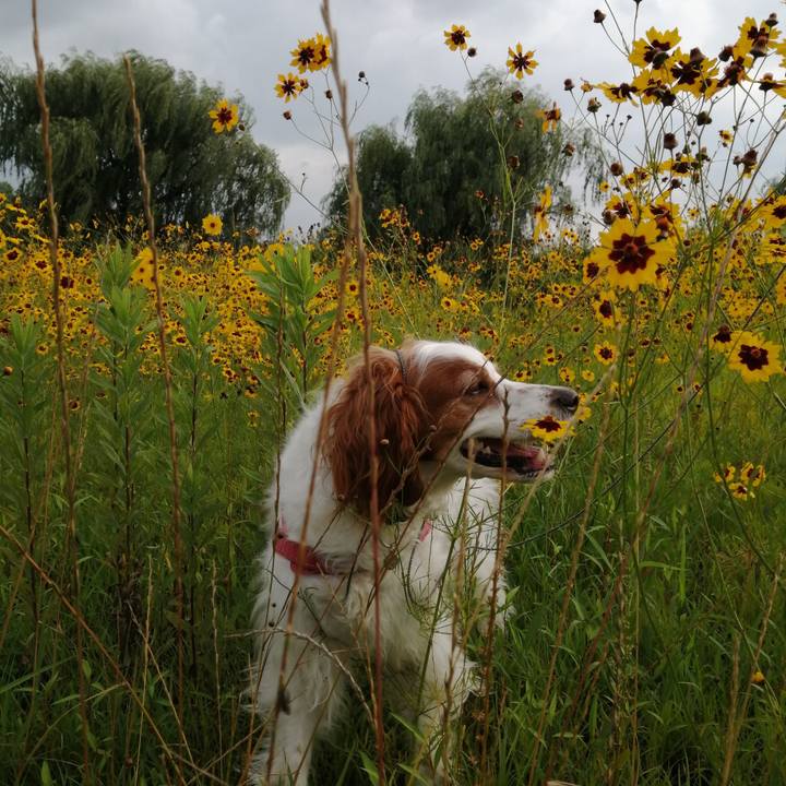 6ff5a9cc 1a83 4f06 b8cb b922703e9296 1625053129415