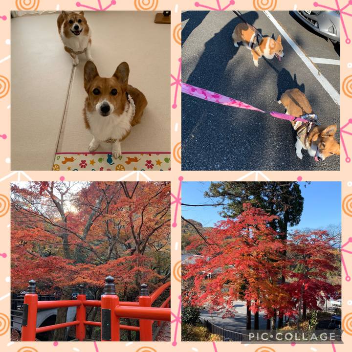 6ff606dd b5e5 4da2 86ef 6578e6076261 1667998779838