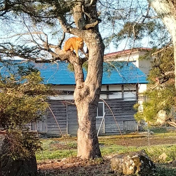 6ff60bf2 7cf5 453b 9064 d4cf5511c4db 1680474959409