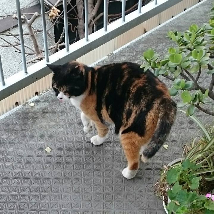 6ff66f10 5ba7 4972 b49f bb83eb9d6aee 1517273928070