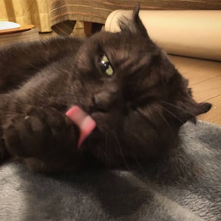 6ff69c8e 5b37 44e8 aa82 2a02e499bf04 1543154213968