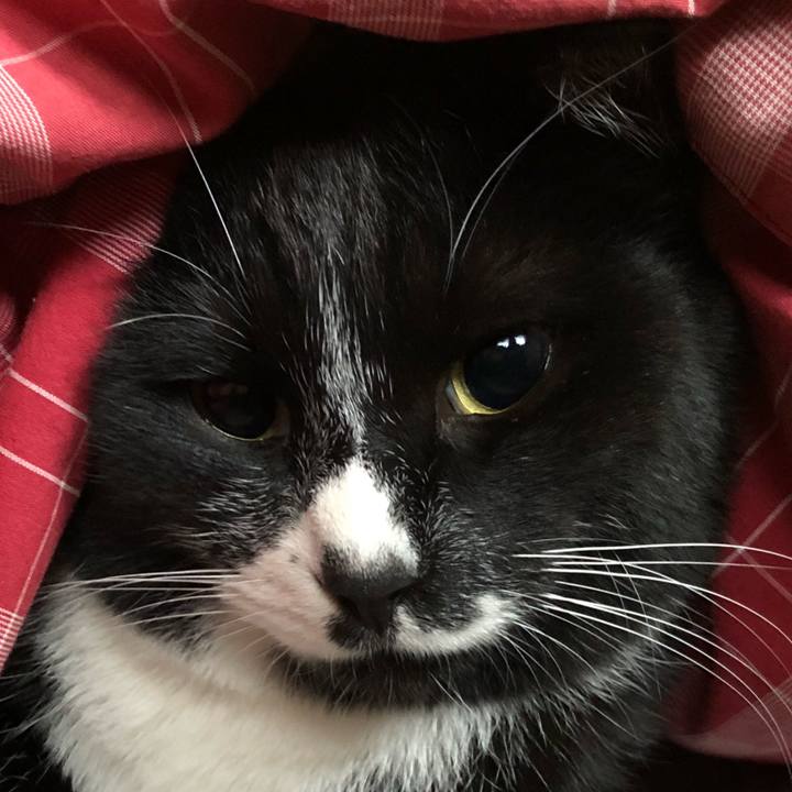 6ff6b99f 6863 42d6 aaa8 441acfcd7821 1645250171801