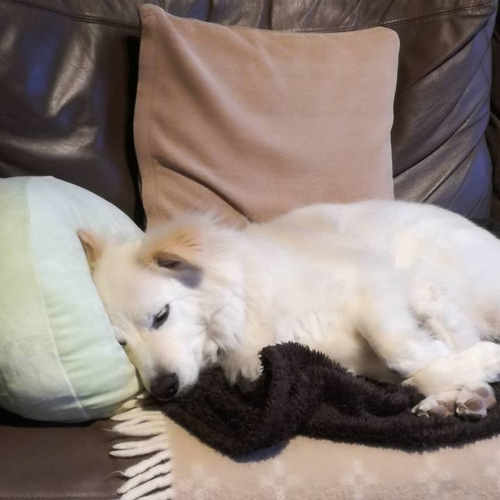 6ff6bd86 0e35 4978 af87 8a290f173e8a 1521071376173