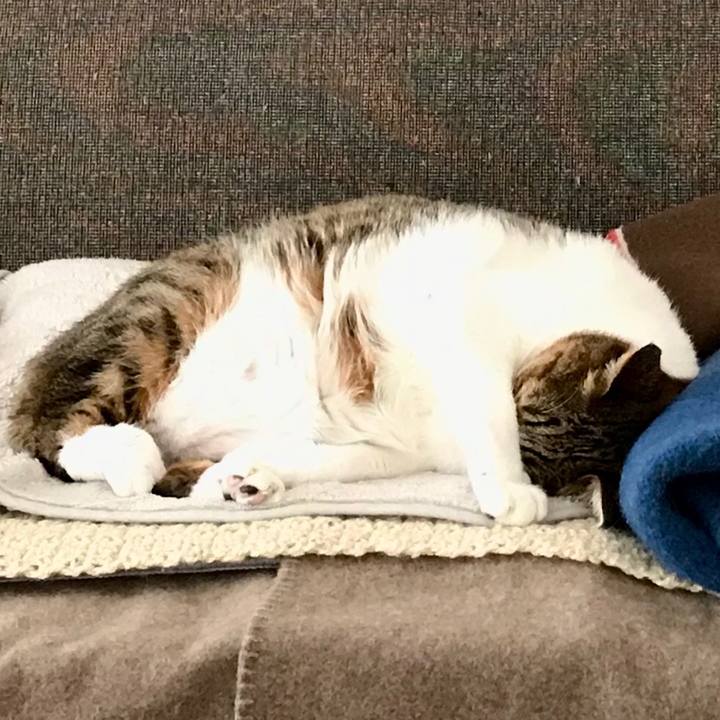 6ff6ec9d 0f94 44b8 983e d332c7530d2c 1579592264677